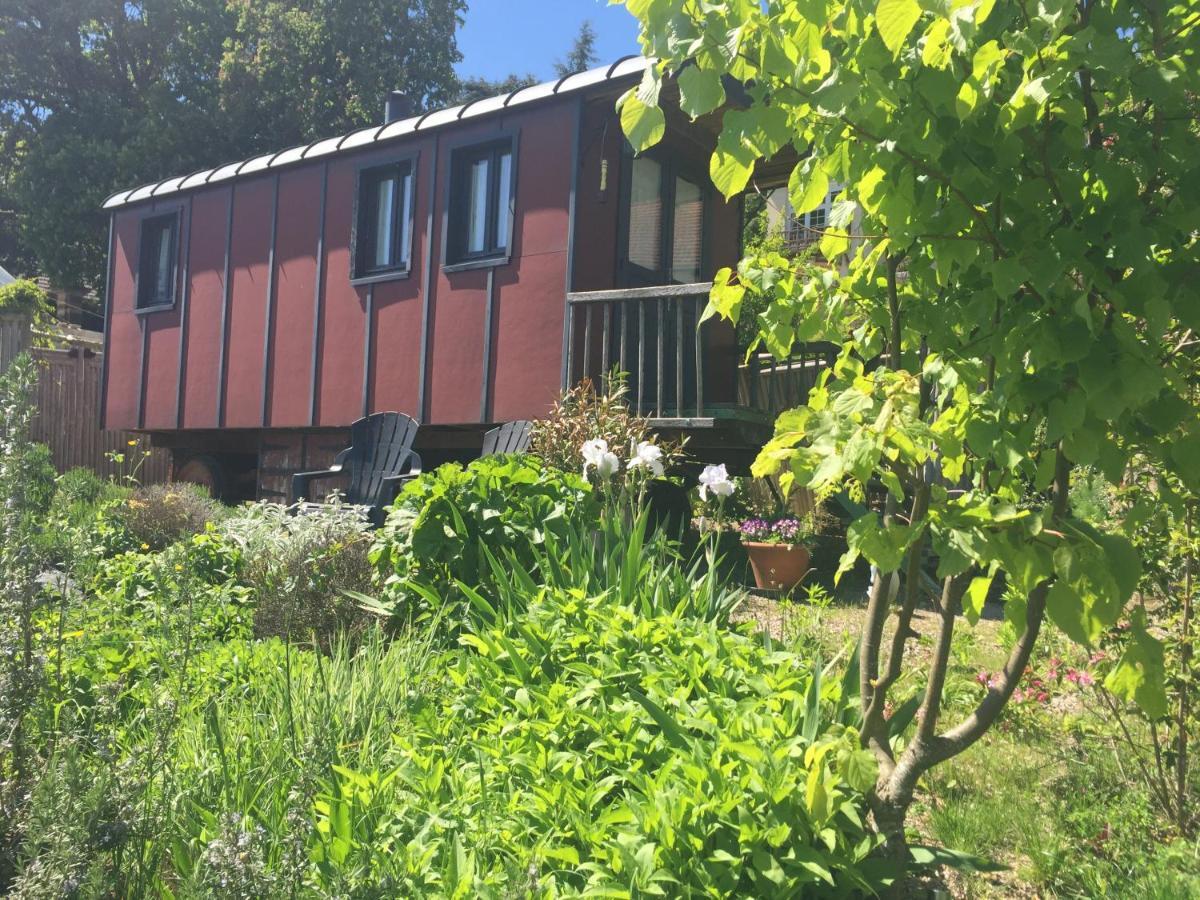 Vineyard Garden Studio Mont-Saint-Jean  Exterior photo